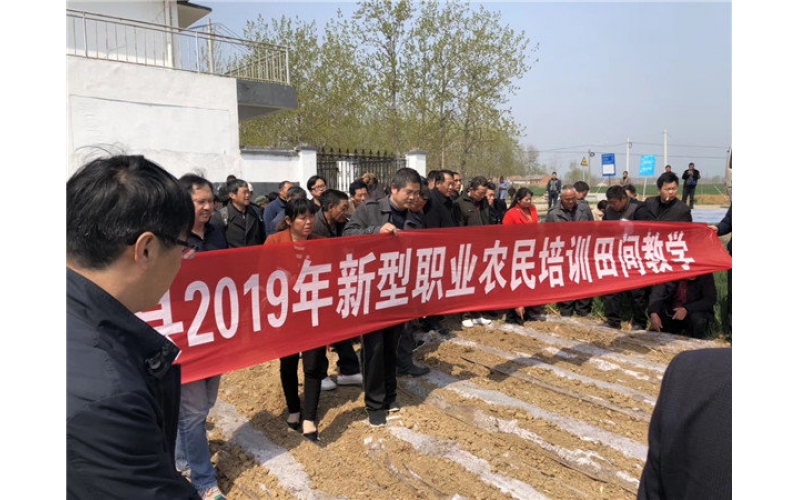 山東臨沭東泰機械助力江蘇省泗洪縣2019年花生產(chǎn)業(yè)發(fā)展！
